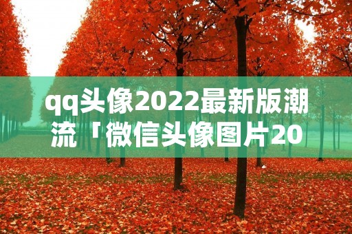 qq头像2022最新版潮流「微信头像图片2022新款」