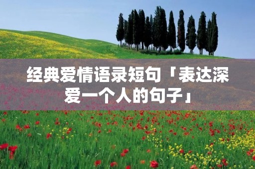 经典爱情语录短句「表达深爱一个人的句子」