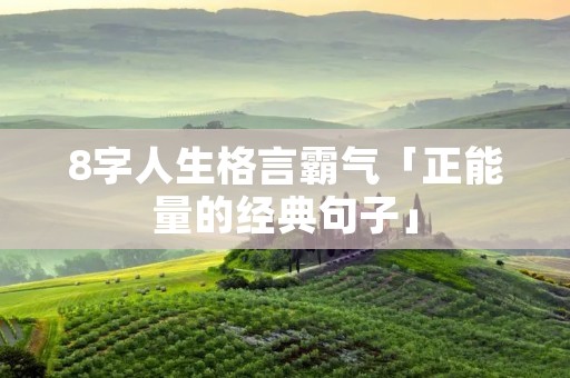 8字人生格言霸气「正能量的经典句子」