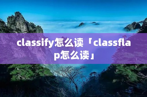 classify怎么读「classflap怎么读」