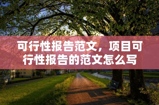可行性报告范文,项目可行性报告的范文怎么写