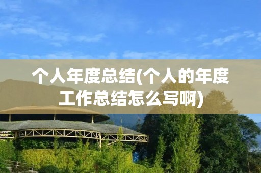 个人年度总结(个人的年度工作总结怎么写啊)
