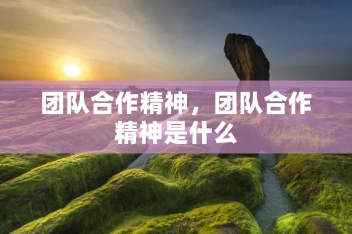 团队合作精神,团队合作精神是什么 团队合作精神,团队合作精神是什么