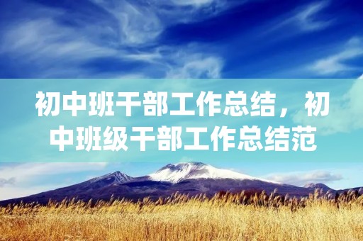 初中班干部工作总结,初中班级干部工作总结范文(精选6篇)
