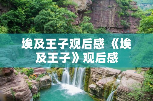 埃及王子观后感 《埃及王子》观后感 埃及王子观后感 《埃及王子》观后感