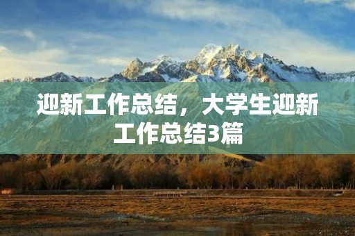 迎新工作总结,大学生迎新工作总结3篇