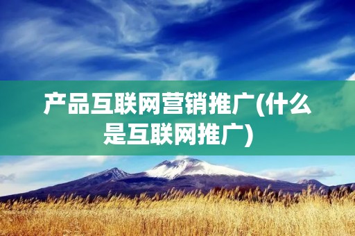 产品互联网营销推广(什么是互联网推广) 产品互联网营销推广(什么是互联网推广)