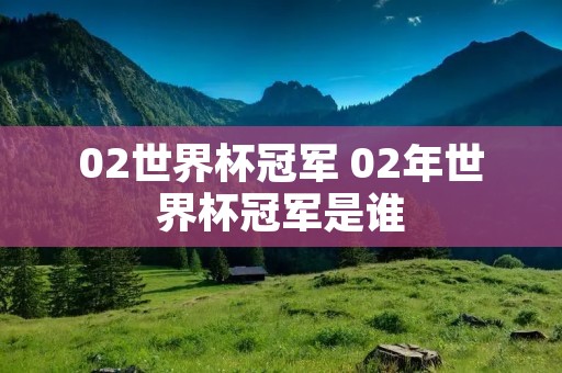 02世界杯冠军 02年世界杯冠军是谁