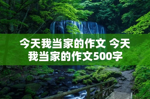 今天我当家的作文 今天我当家的作文500字