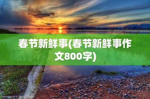 春节新鲜事(春节新鲜事作文800字)
