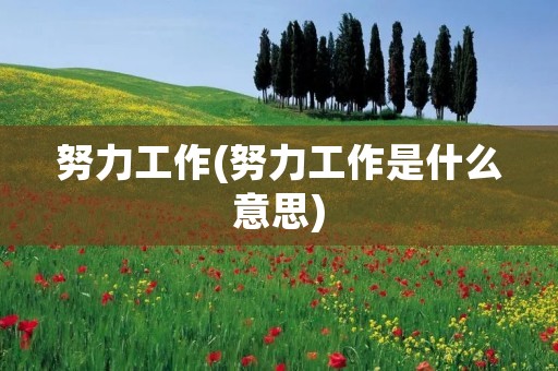 努力工作(努力工作是什么意思)