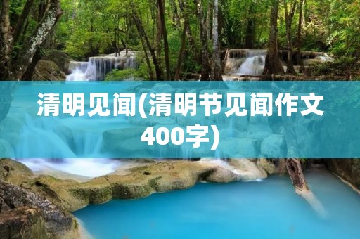 清明见闻(清明节见闻作文400字)