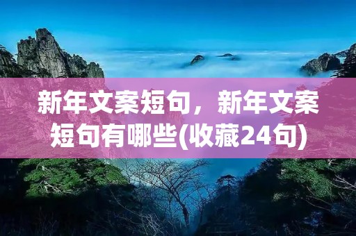 新年文案短句,新年文案短句有哪些(收藏24句)