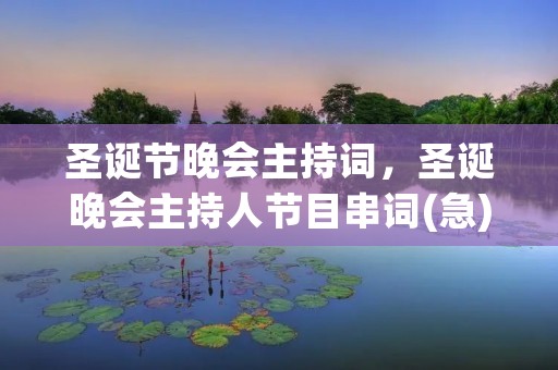 圣诞节晚会主持词,圣诞晚会主持人节目串词(急)