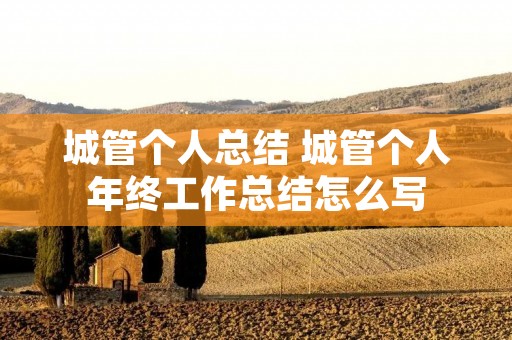 城管个人总结 城管个人年终工作总结怎么写