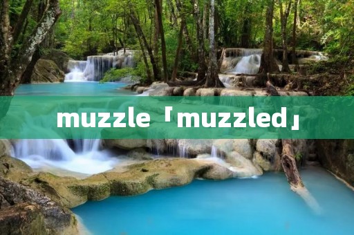 muzzle「muzzled」