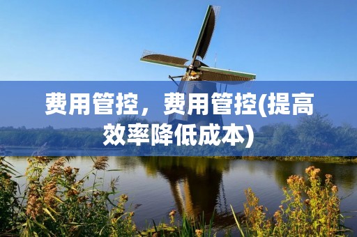 费用管控,费用管控(提高效率降低成本)