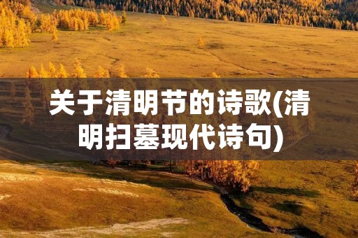 关于清明节的诗歌(清明扫墓现代诗句)