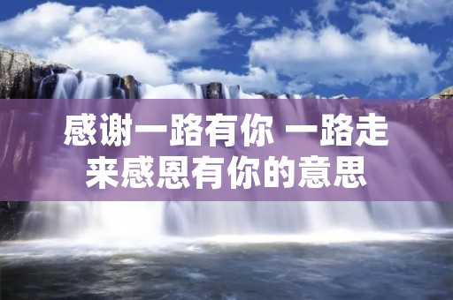 感谢一路有你 一路走来感恩有你的意思