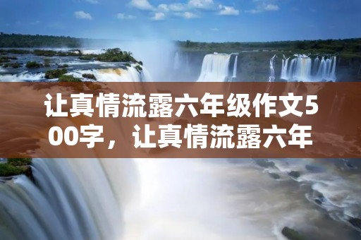 让真情流露六年级作文500字,让真情流露六年级作文600字十篇 让真情流露六年级作文500字,让真情流露六年级作文600字十篇