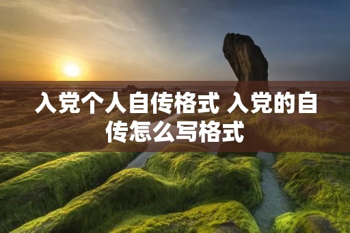 入党个人自传格式 入党的自传怎么写格式 入党个人自传格式 入党的自传怎么写格式