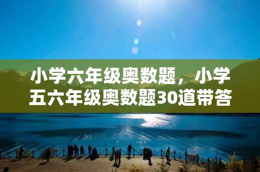 小学六年级奥数题，小学五六年级奥数题30道带答案!!