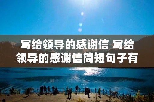 写给领导的感谢信 写给领导的感谢信简短句子有哪些