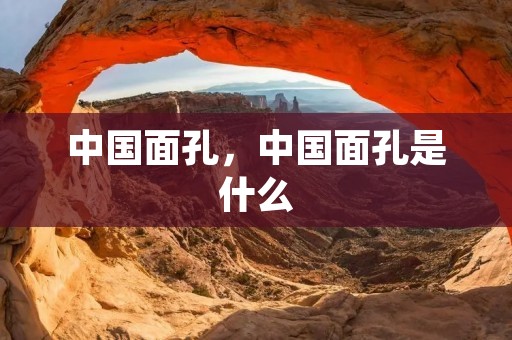 中国面孔,中国面孔是什么