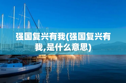 强国复兴有我(强国复兴有我,是什么意思)