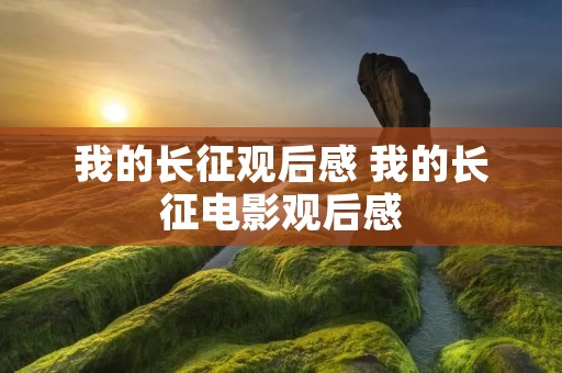 我的长征观后感 我的长征电影观后感
