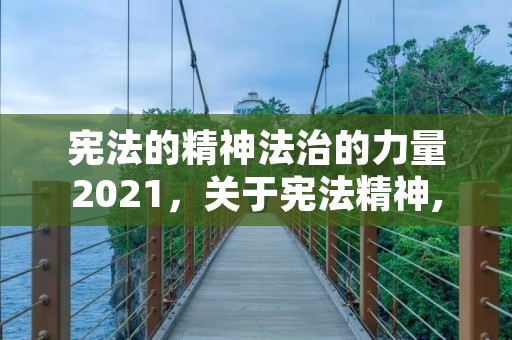 宪法的精神法治的力量2021，关于宪法精神,法治的力量观后感600字