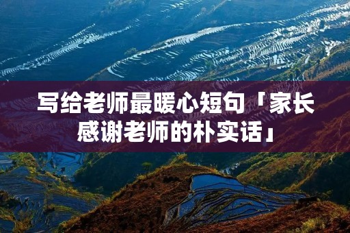 写给老师最暖心短句「家长感谢老师的朴实话」