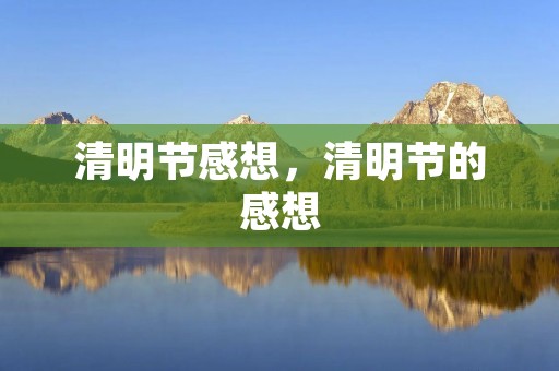 清明节感想,清明节的感想