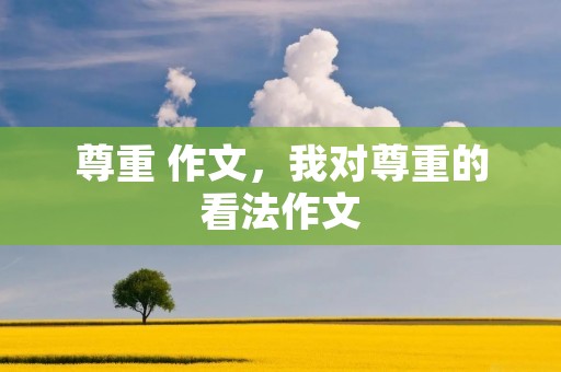 尊重 作文,我对尊重的看法作文