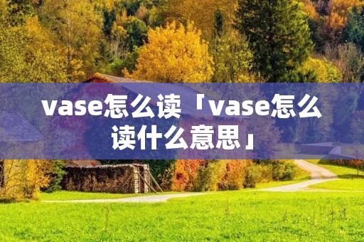 vase怎么读「vase怎么读什么意思」