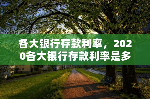 各大银行存款利率，2020各大银行存款利率是多少