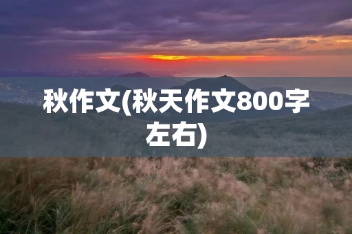 秋作文(秋天作文800字左右)