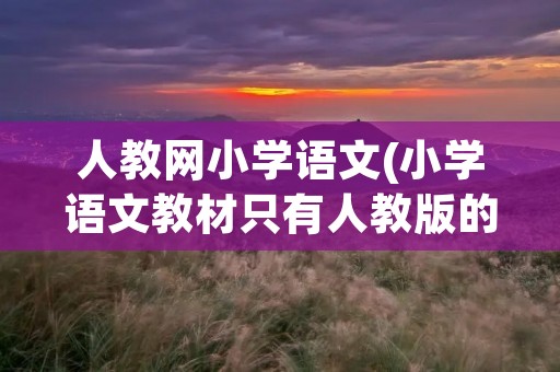 人教网小学语文(小学语文教材只有人教版的吗)