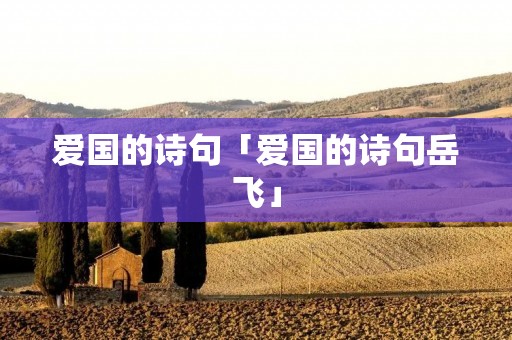 爱国的诗句「爱国的诗句岳飞」