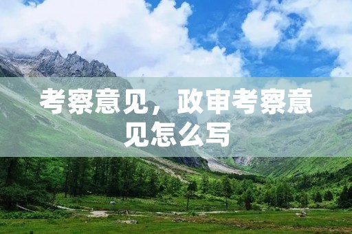 考察意见，政审考察意见怎么写