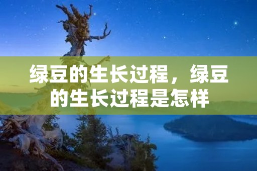 绿豆的生长过程,绿豆的生长过程是怎样
