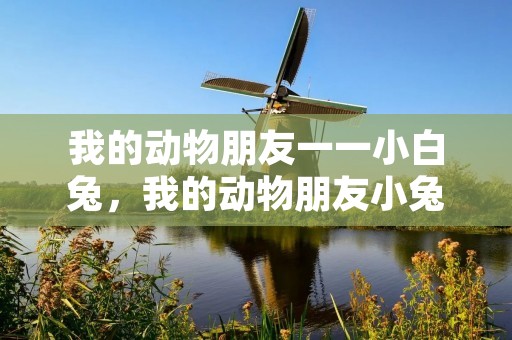 我的动物朋友一一小白兔,我的动物朋友小兔子作文 我的动物朋友一一小白兔,我的动物朋友小兔子作文