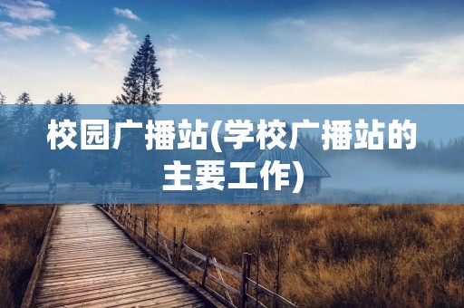 校园广播站(学校广播站的主要工作)