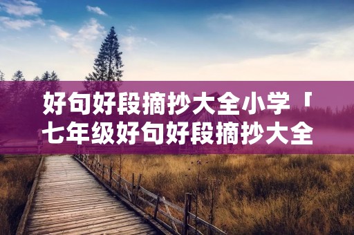 好句好段摘抄大全小学「七年级好句好段摘抄大全」