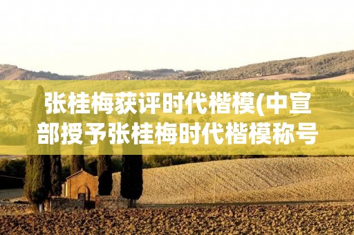 张桂梅获评时代楷模(中宣部授予张桂梅时代楷模称号,这个称号有何意义)