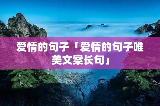 爱情的句子「爱情的句子唯美文案长句」