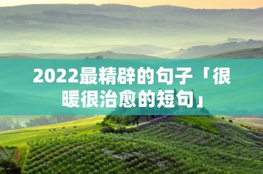 2022最精辟的句子「很暖很治愈的短句」