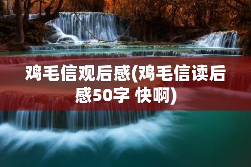 鸡毛信观后感(鸡毛信读后感50字 快啊)