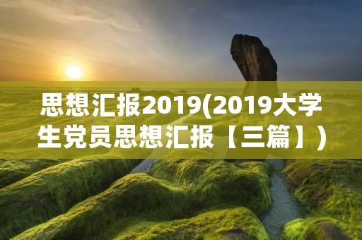 思想汇报2019(2019大学生党员思想汇报【三篇】) 思想汇报2019(2019大学生党员思想汇报【三篇】)