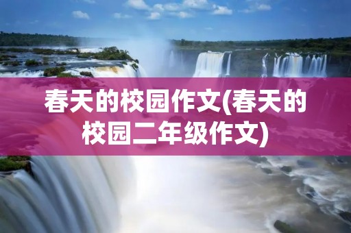 春天的校园作文(春天的校园二年级作文)